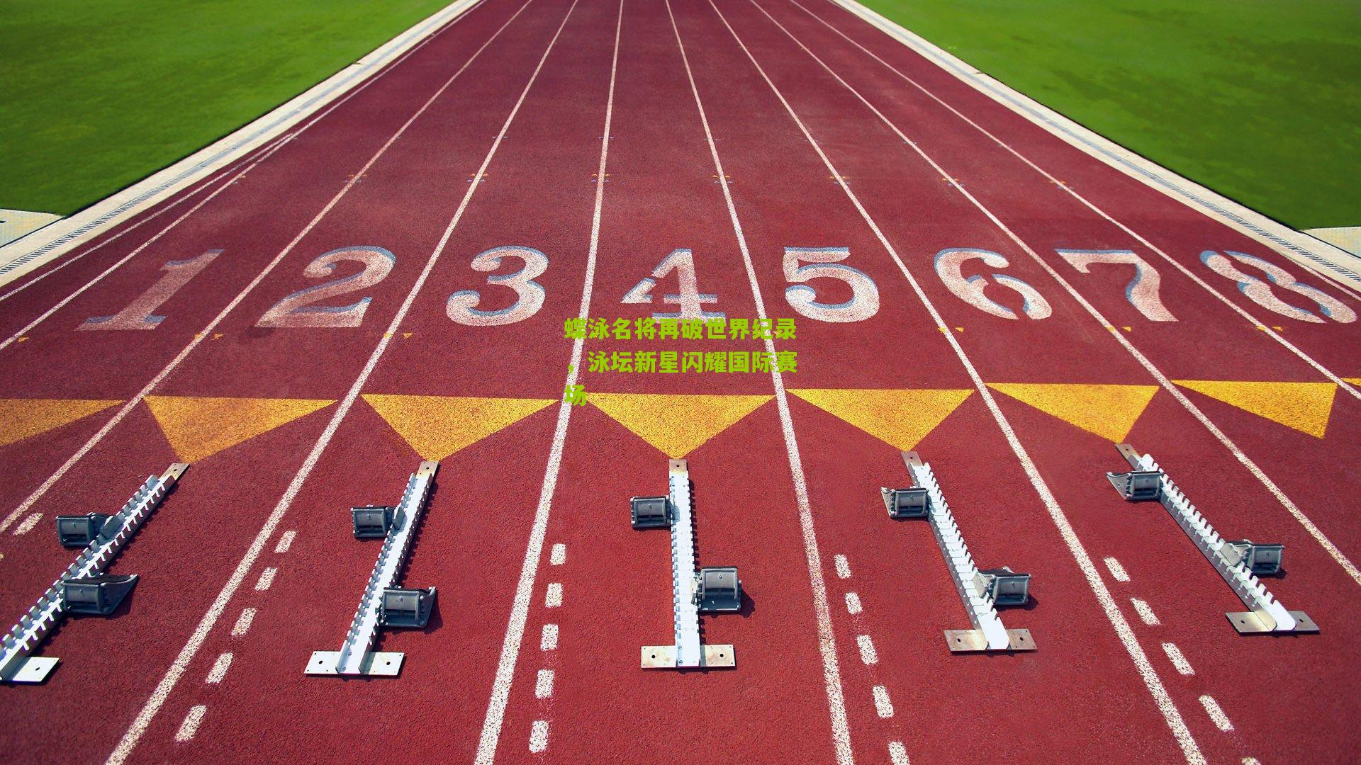蝶泳名将再破世界纪录，泳坛新星闪耀国际赛场